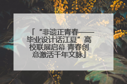 “非遗正青春——毕业设计话江夏”高校联展启幕 青春创意激活千年文脉