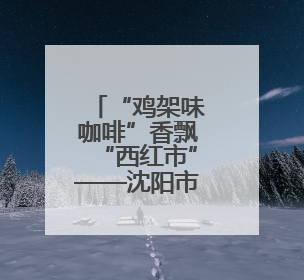 “鸡架味咖啡”香飘“西红市”——沈阳市集解锁“地域限定”消费新场景