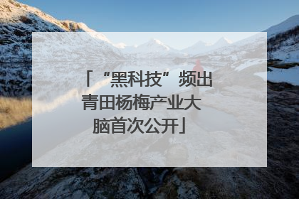 “黑科技”频出 青田杨梅产业大脑首次公开