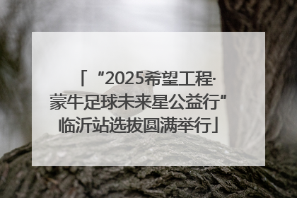 “2025希望工程·蒙牛足球未来星公益行”临沂站选拔圆满举行
