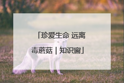 珍爱生命 远离毒蘑菇｜知识窗