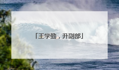 王学勤，升副部