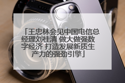 王忠林会见中国电信总经理刘桂清 做大做强数字经济 打造发展新质生产力的强劲引擎