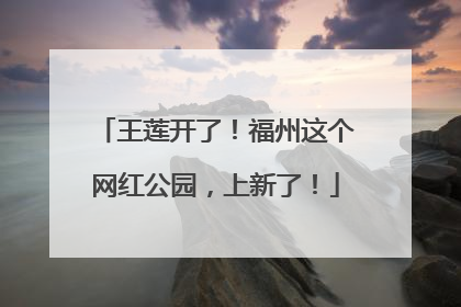 王莲开了！福州这个网红公园，上新了！