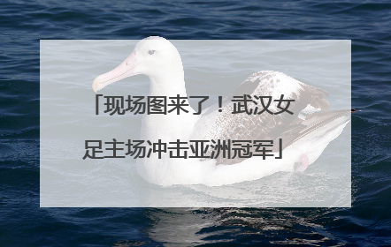 现场图来了！武汉女足主场冲击亚洲冠军