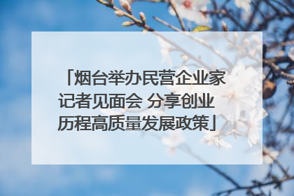 烟台举办民营企业家记者见面会 分享创业历程高质量发展政策