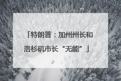特朗普：加州州长和洛杉矶市长“无能”
