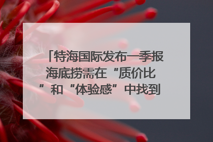 特海国际发布一季报 海底捞需在“质价比”和“体验感”中找到平衡｜新经济观察