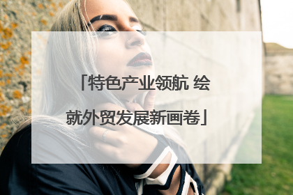 特色产业领航 绘就外贸发展新画卷