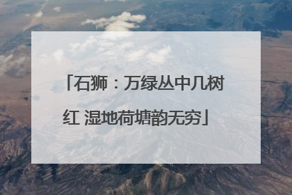石狮：万绿丛中几树红 湿地荷塘韵无穷