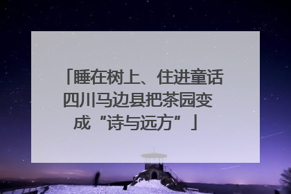 睡在树上、住进童话 四川马边县把茶园变成“诗与远方”