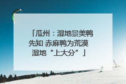 瓜州：湿地景美鸭先知 赤麻鸭为荒漠湿地“上大分”