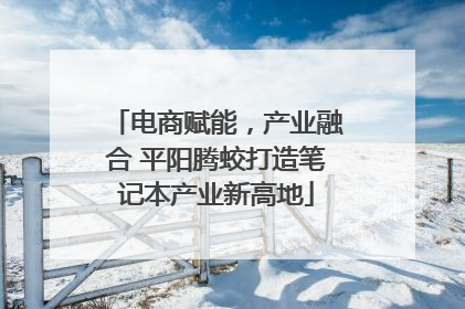 电商赋能，产业融合 平阳腾蛟打造笔记本产业新高地