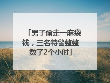 男子偷走一麻袋钱，三名特警整整数了2个小时
