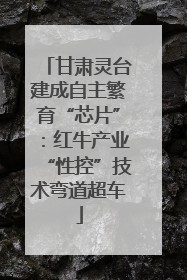 甘肃灵台建成自主繁育“芯片”：红牛产业“性控”技术弯道超车