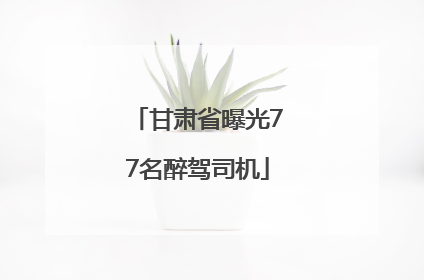 甘肃省曝光77名醉驾司机
