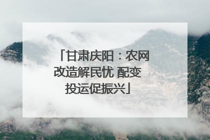 甘肃庆阳：农网改造解民忧 配变投运促振兴