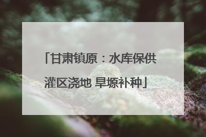 甘肃镇原：水库保供 灌区浇地 旱塬补种