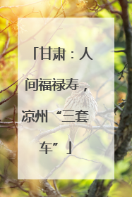 甘肃：人间福禄寿，凉州“三套车”