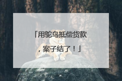 用鸵鸟抵偿货款，案子结了！