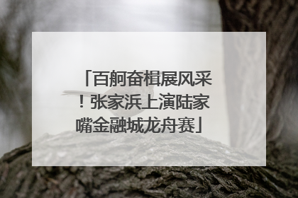 百舸奋楫展风采！张家浜上演陆家嘴金融城龙舟赛
