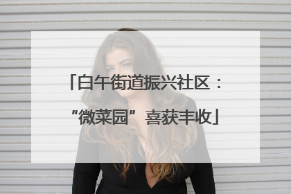 白午街道振兴社区：“微菜园”喜获丰收