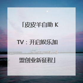 皮皮羊自助 KTV：开启娱乐加盟创业新征程