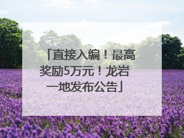 直接入编！最高奖励5万元！龙岩一地发布公告