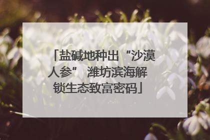 盐碱地种出“沙漠人参” 潍坊滨海解锁生态致富密码