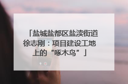 盐城盐都区盐渎街道徐志刚：项目建设工地上的“啄木鸟”