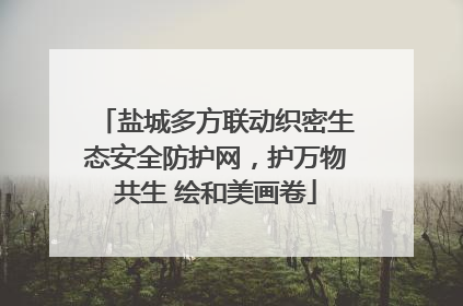 盐城多方联动织密生态安全防护网，护万物共生 绘和美画卷