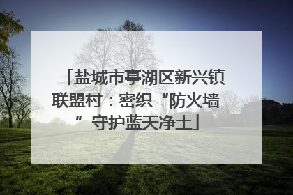 盐城市亭湖区新兴镇联盟村：密织“防火墙”守护蓝天净土
