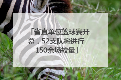 省直单位篮球赛开幕，52支队将进行150余场较量