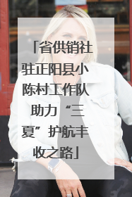 省供销社驻正阳县小陈村工作队 助力“三夏”护航丰收之路