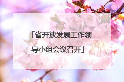 省开放发展工作领导小组会议召开