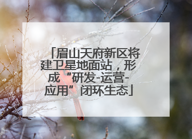 眉山天府新区将建卫星地面站，形成“研发-运营-应用”闭环生态