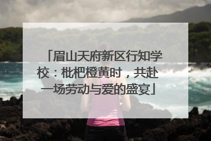 眉山天府新区行知学校：枇杷橙黄时，共赴一场劳动与爱的盛宴