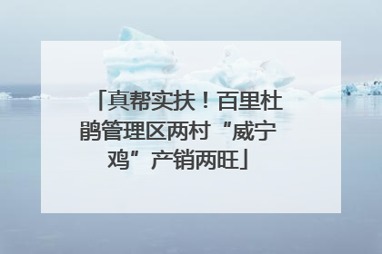 真帮实扶！百里杜鹃管理区两村“威宁鸡”产销两旺