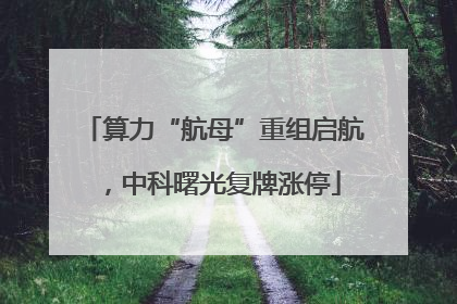 算力“航母”重组启航，中科曙光复牌涨停