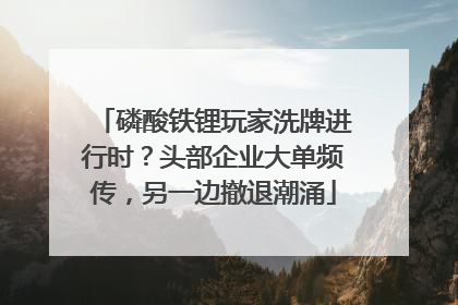 磷酸铁锂玩家洗牌进行时？头部企业大单频传，另一边撤退潮涌