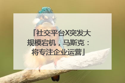 社交平台X突发大规模宕机，马斯克：将专注企业运营