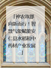 神农故郡 向新而行！智慧气象赋能安仁县水稻和中药材产业发展