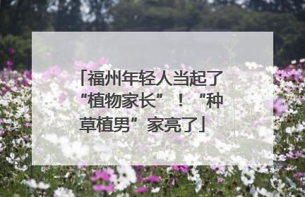 福州年轻人当起了“植物家长”！“种草植男”家亮了