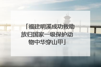 福建明溪成功救助放归国家一级保护动物中华穿山甲