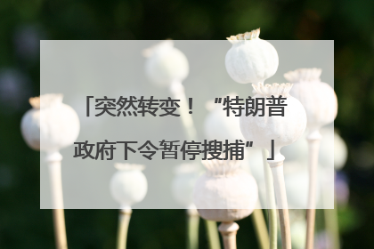 突然转变！“特朗普政府下令暂停搜捕”
