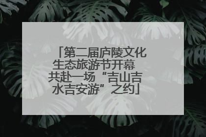 第二届庐陵文化生态旅游节开幕 共赴一场“吉山吉水吉安游”之约