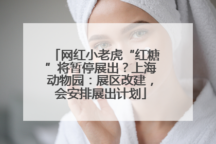网红小老虎“红糖”将暂停展出？上海动物园：展区改建，会安排展出计划