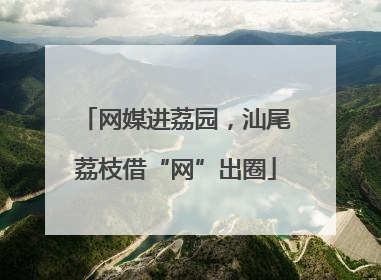 网媒进荔园，汕尾荔枝借“网”出圈