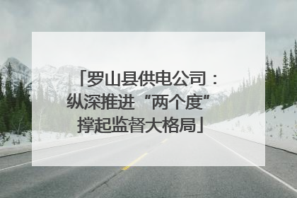 罗山县供电公司：纵深推进“两个度” 撑起监督大格局