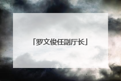 罗文俊任副厅长